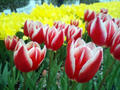 blog080412_1.jpg
