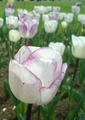 blog080412_2.jpg