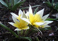 blog080412_3.jpg