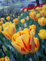 blog080412_4.jpg