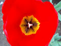 blog080412_5.jpg