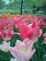 blog080412_6.jpg