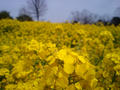blog080418_1.jpg