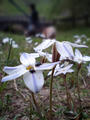 blog080419_1.jpg