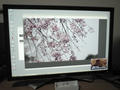 blog080419_2.jpg