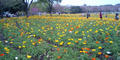 blog080423_3.jpg