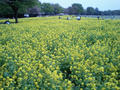 blog080423_2.jpg