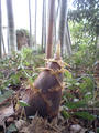 blog080427_1.jpg