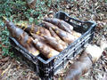 blog080427_2.jpg