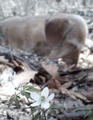 blog080503_2.jpg