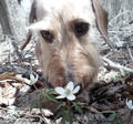 blog080503_3.jpg