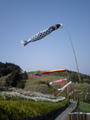 blog080506_1.jpg