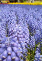 blog080423_1.jpg