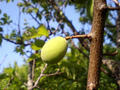 blog080513_1.jpg