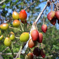 blog080522_1.jpg