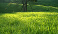 blog080531_1.jpg