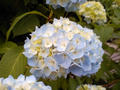 blog080607_2.jpg