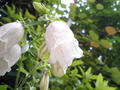 blog080607_3.jpg