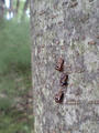 blog080608_1.jpg
