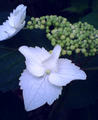 blog080608_3.jpg