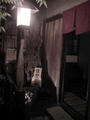 blog080613_1.jpg