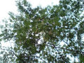 blog080710_2.jpg