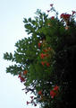 blog080729_2.jpg