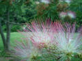 blog080730_1.jpg