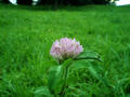 blog080808_2.jpg