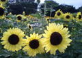 blog080812_2.jpg