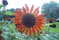 blog080812_3.jpg