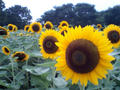 blog080812_4.jpg