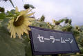 blog080812_5.jpg