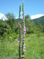 blog080814_3.jpg