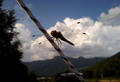 blog080814_5.jpg