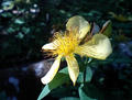 blog080815_4.jpg