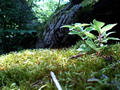 blog080815_6.jpg