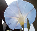 blog080820_1.jpg
