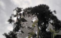 blog080821_1.jpg
