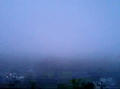 blog080828_2.jpg
