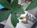 blog080909_1.jpg
