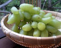 blog080913_3.jpg