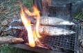 blog080913_4.jpg