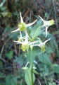 blog080913_10.jpg
