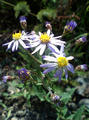 blog080913_11.jpg