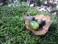 blog080913_12.jpg