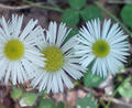 blog080913_13.jpg