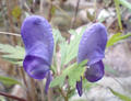 blog080913_14.jpg