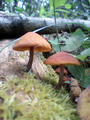 blog080914_1.jpg