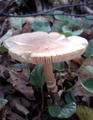blog080914_2.jpg